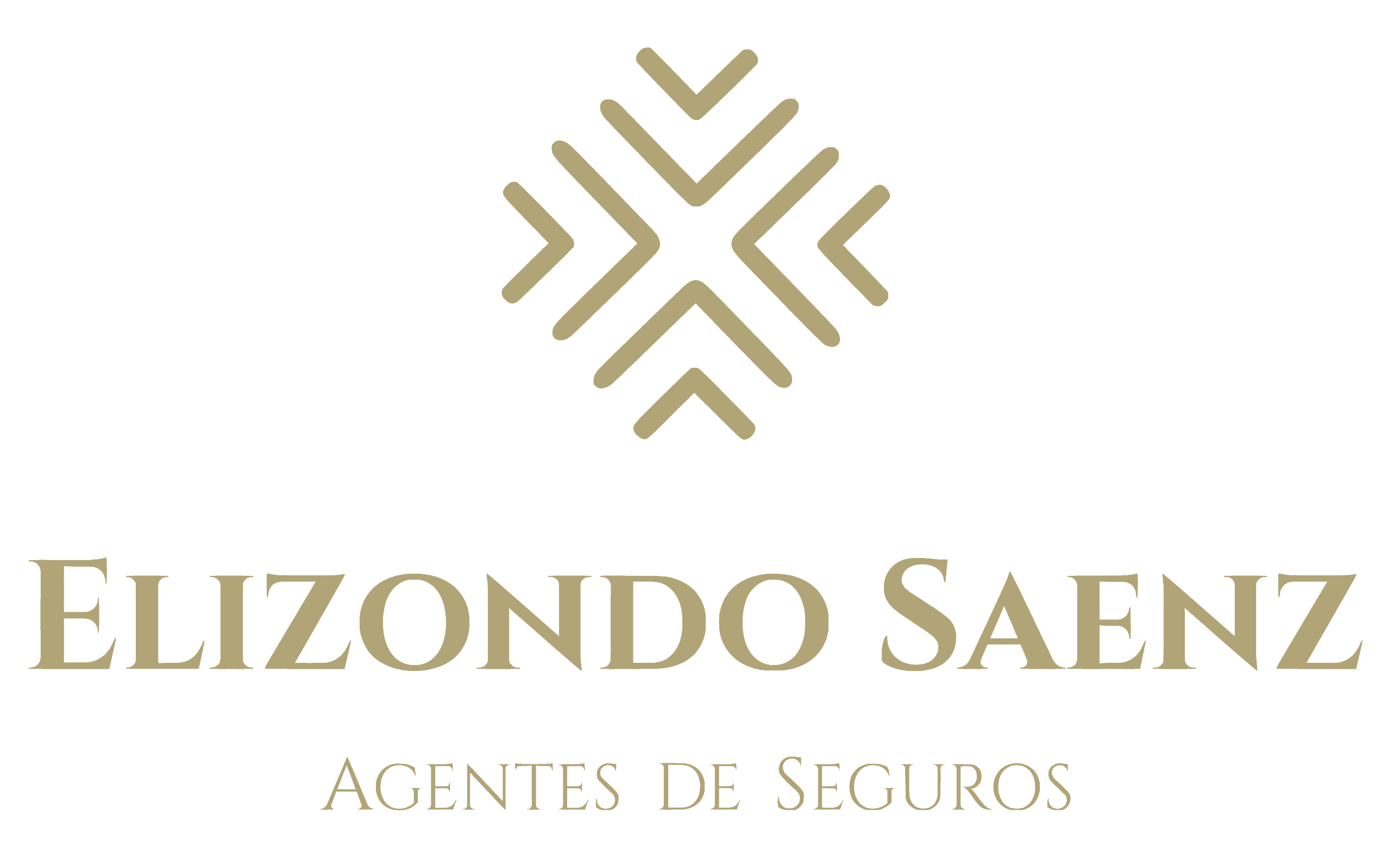 ELIZONDO SAENZ AGENTES DE SEGUROS